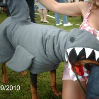 Roxy_shark_xx_listing