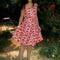 Dsc_3561_listing