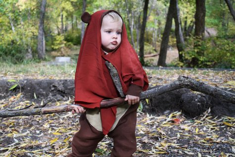 Ewok5_large