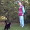 Cat_grid