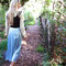 Briar_rose3_grid