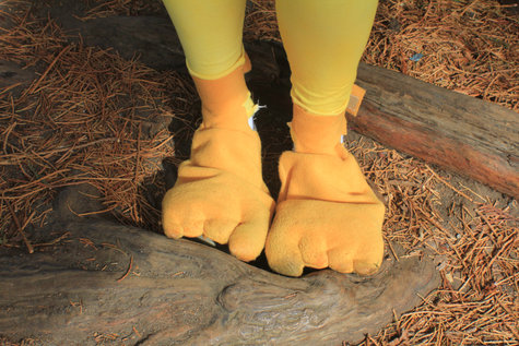 Feet_large