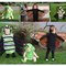Life_stages_of_a_butterfly_grid