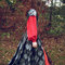 Burdacontestred6_grid