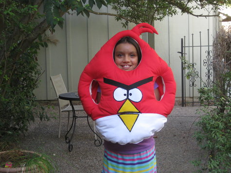 5_k_redbird_large