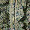 _mg_0562_grid