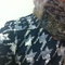 Photo_4_2_grid
