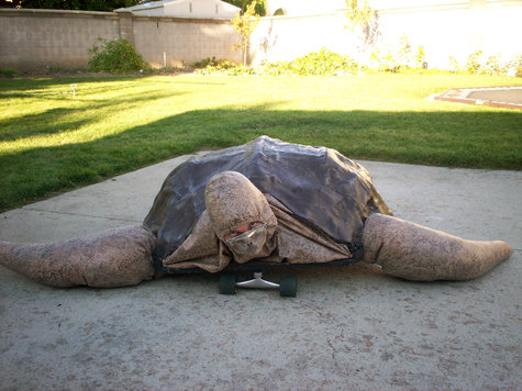 Berninahalloweenseaturtle_large