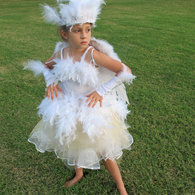 Swan8_copy_listing