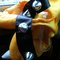 Photo_2__grid
