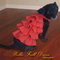 Bella_frill_dress_2__grid