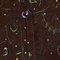 100_1405_grid