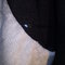 Picture_119_grid