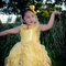 Evelyn_grid