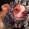 Imag0075_grid