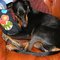 Dscf8629_grid