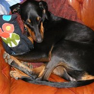 Dscf8629_listing