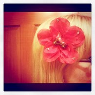Derby_flower_listing