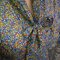 Img-20111029-01038_grid