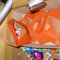 Dscn6304_grid