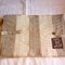 P1090037_grid