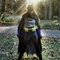 Batmanburda1_grid