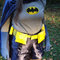 Batmanburda3_grid
