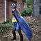 Batmanburda8_grid