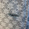 _1010031_grid