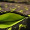 Partydress_6_grid