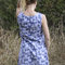 Dahn_blue_5_grid