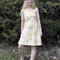 Dahn_yellow_f_6_grid