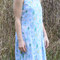 Sorb_blue_6_grid