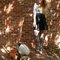 Skirt_1_grid
