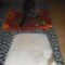 Dscf3843_grid