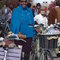 Imgp1486_grid