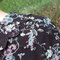 Dscf6519_grid