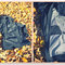Collage_di_picnik_grid