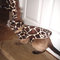 Giraffecat4_grid