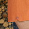 Ginger1_grid