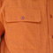 Ginger2_grid