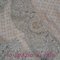 Dscn5093_grid