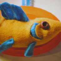 Yellow_fish_close_up_listing