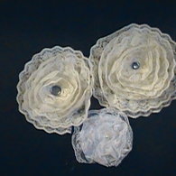 4_listing
