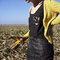 20111017_02_grid