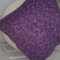 Copy_of_24052011156_grid