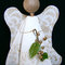 Painted_angel_grid