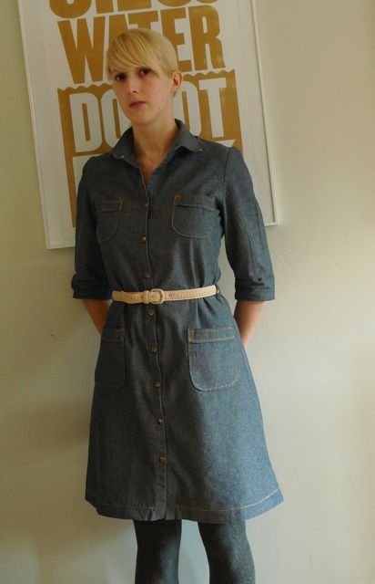 Stern_shirt_dress_large