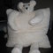 Scater_teddy_004_grid