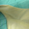 Dscn2751_grid